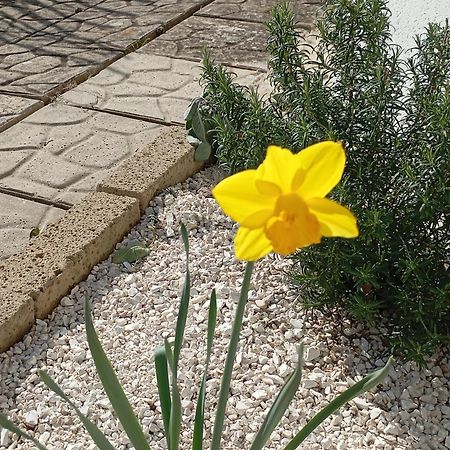 B&B Villa Alma San Costanzo Εξωτερικό φωτογραφία